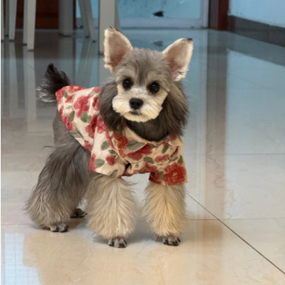 狗狗衣服韩系度假风夏日衬衫薄款