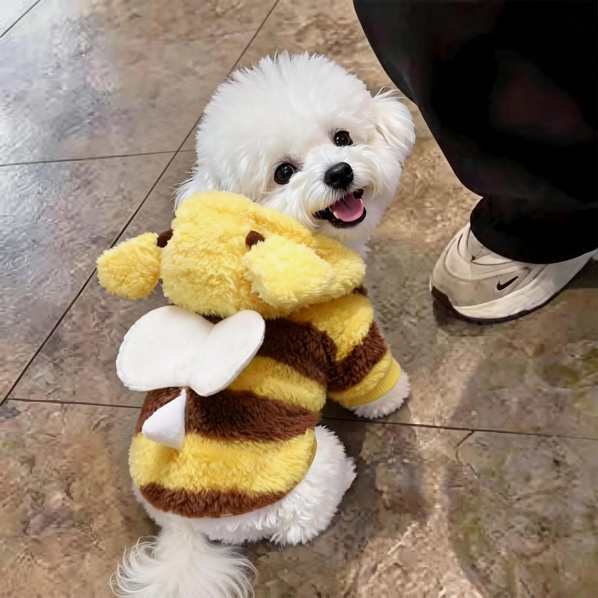 秋冬加绒保暖可牵引小型犬绒衣