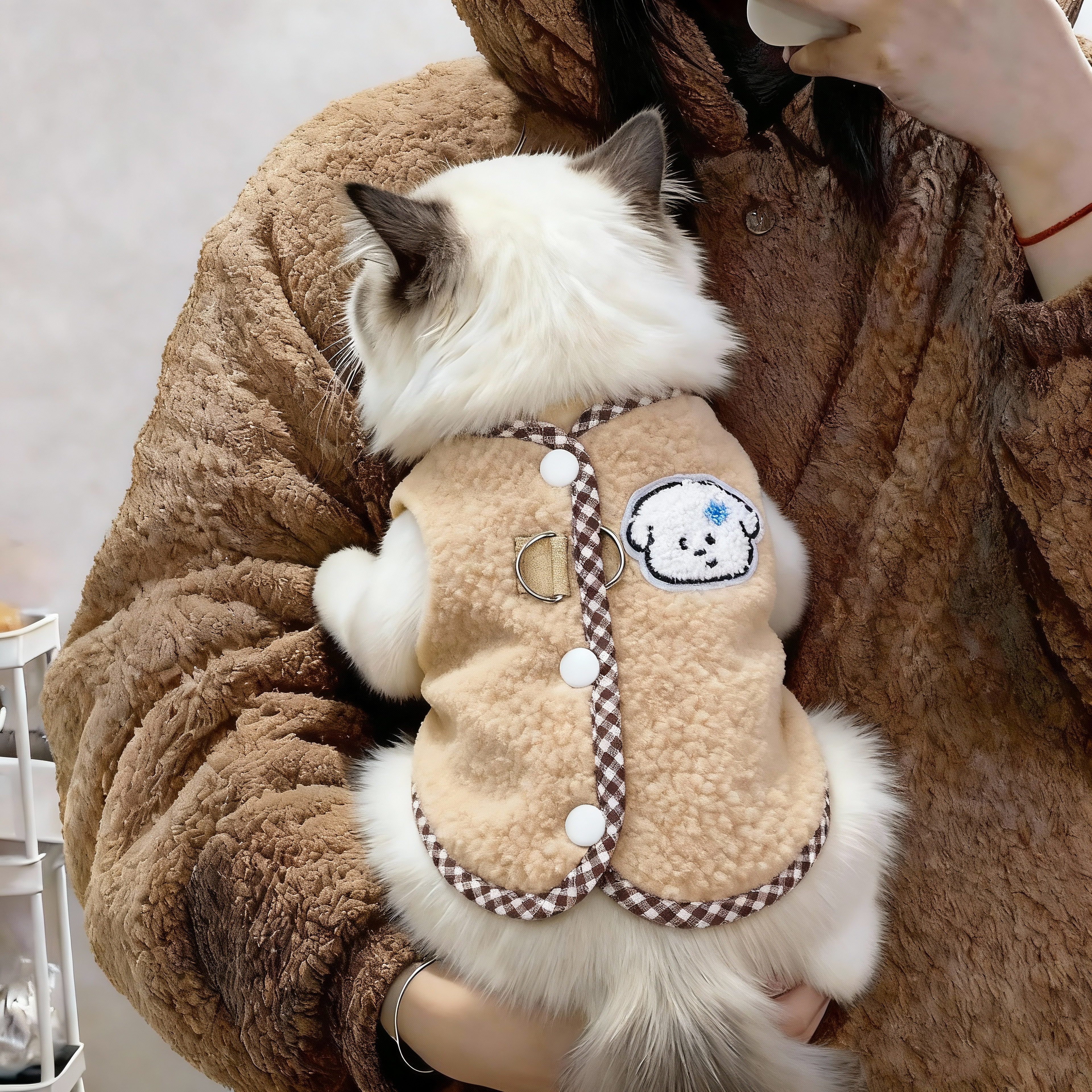 小猫咪衣服秋冬加绒保暖小狗马甲布偶金渐层暹罗防掉毛可牵引衣服,宠物/宠物食品及用品,猫宠物服装/雨衣（新）,淘宝优惠券,粉丝福利购,淘宝优惠卷