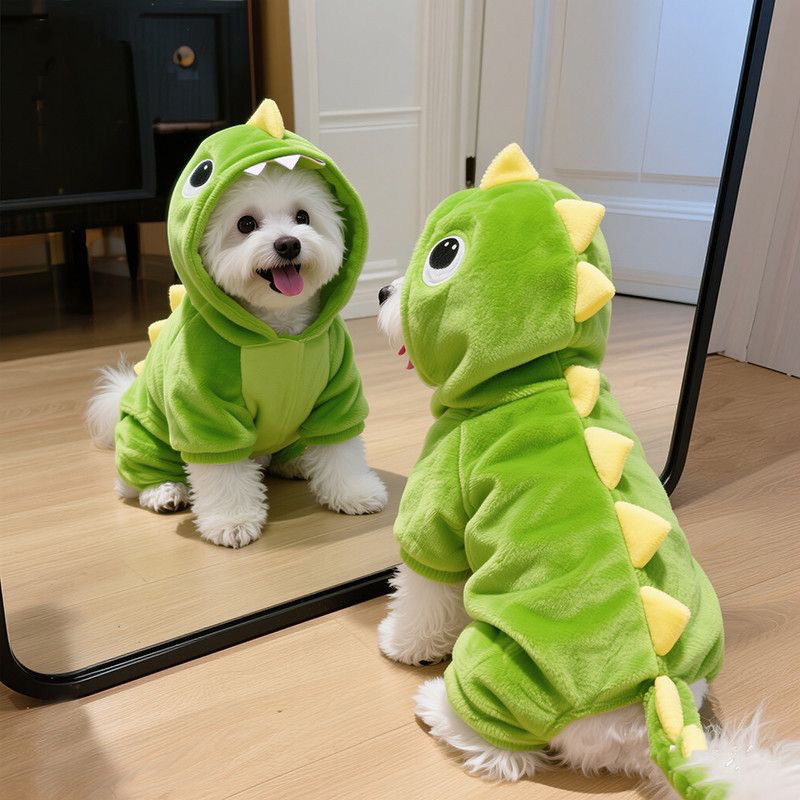 狗狗衣服秋冬可爱恐龙变身装保暖加绒中小型犬比熊泰迪冬天四脚衣
