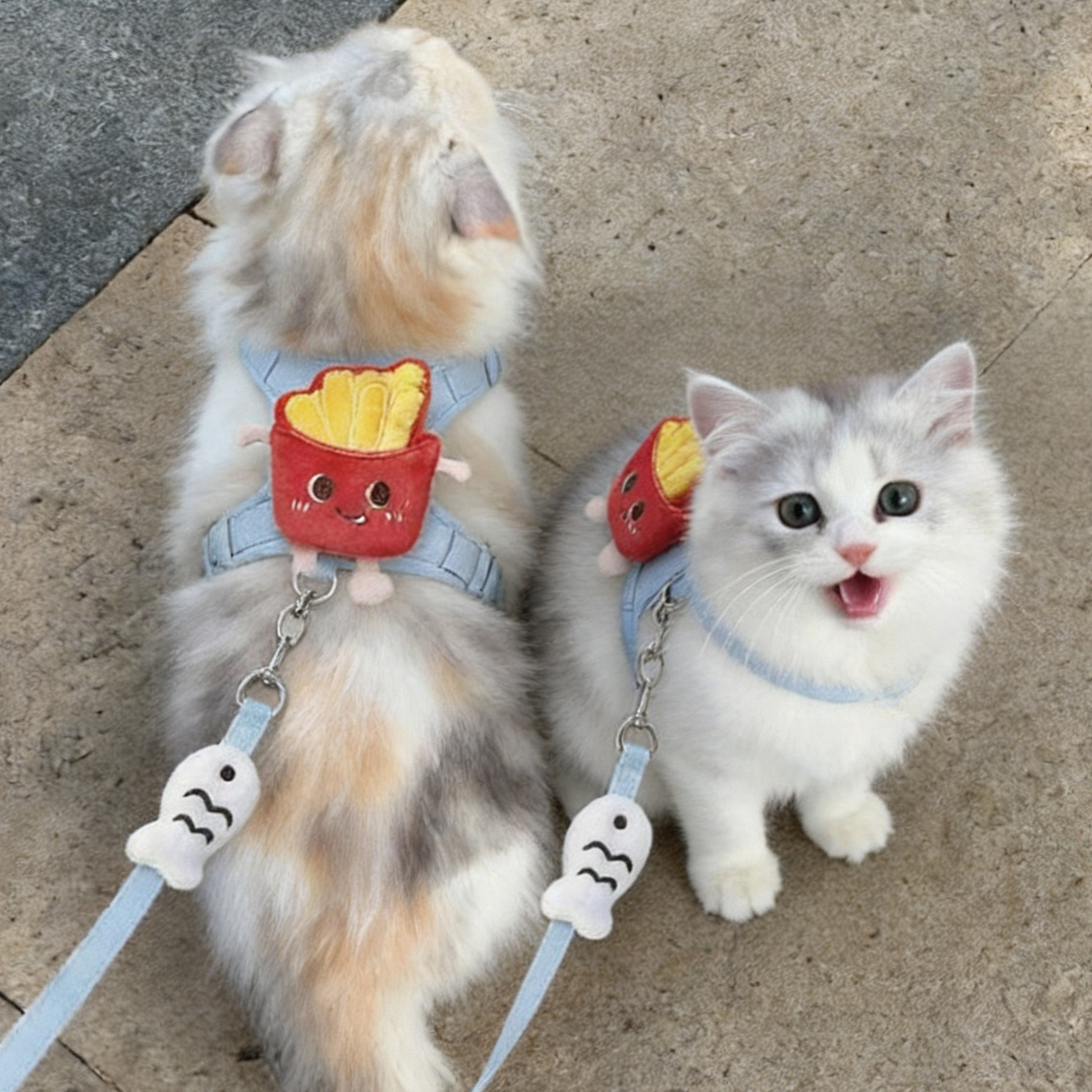 猫狗可爱薯条胸背牵引绳防挣脱图片