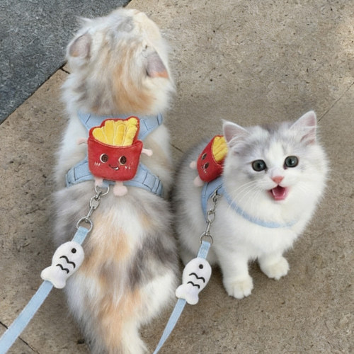 猫狗可爱薯条胸背牵引绳防挣脱