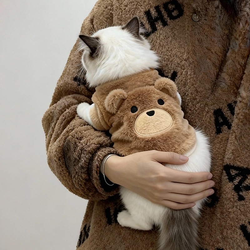猫咪衣服可爱刺绣小熊卫衣保暖衣