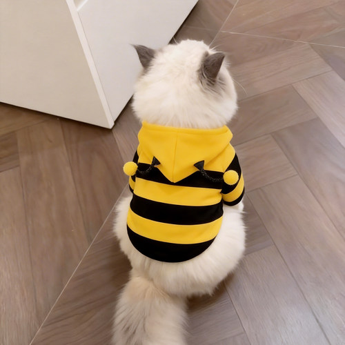 小猫咪衣服春秋款小蜜蜂卫衣狗狗