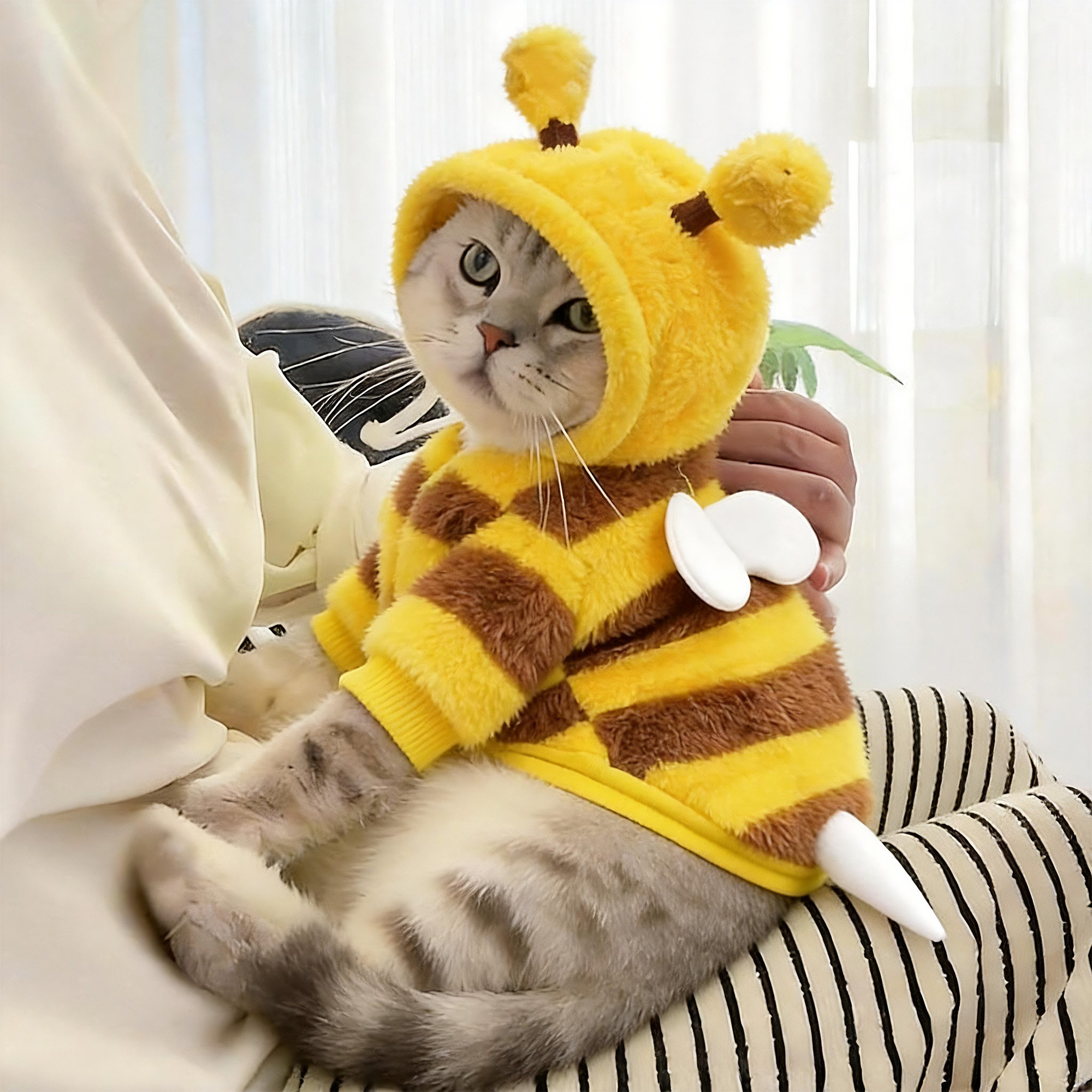 秋冬猫狗保暖可爱蜜蜂牵引衣服