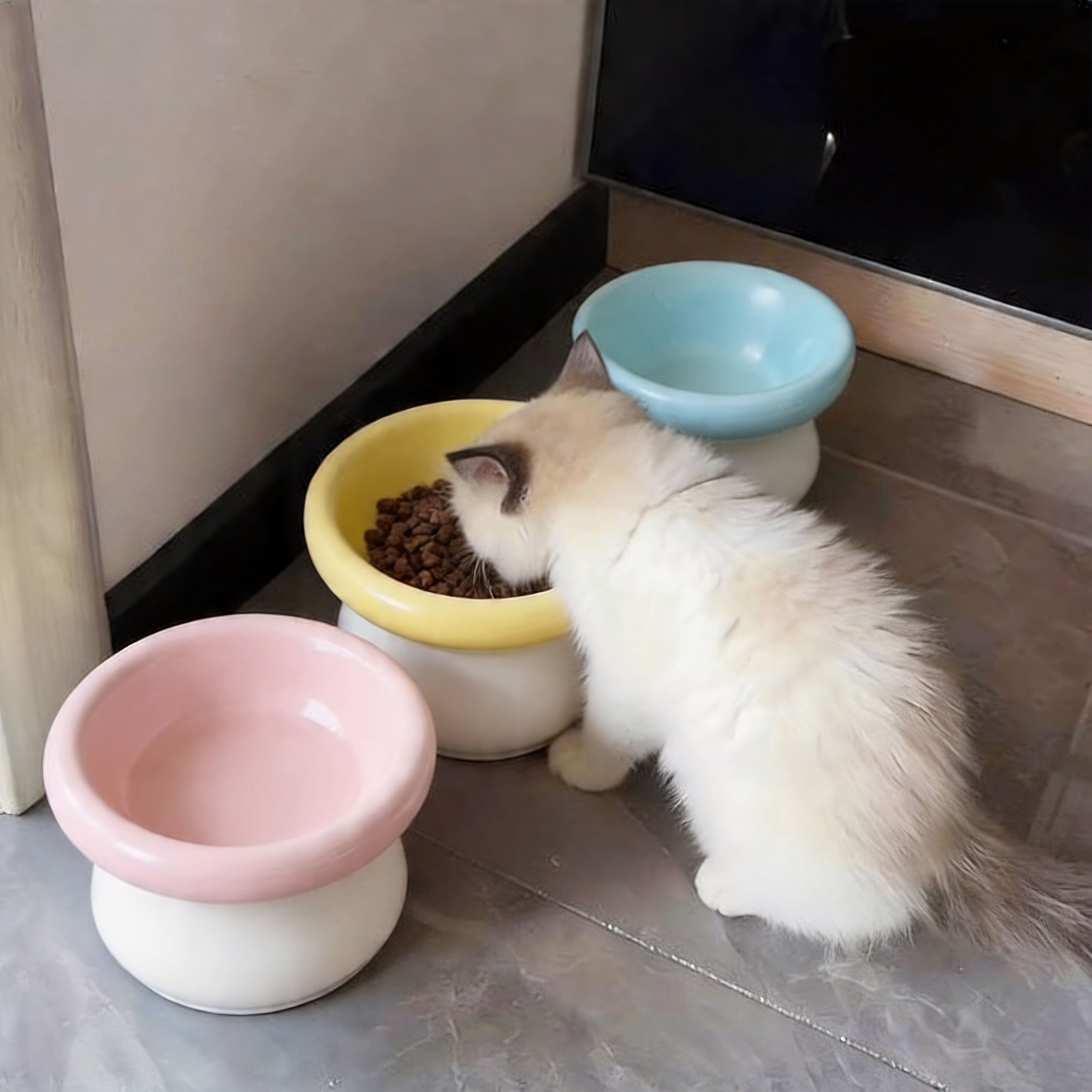 猫碗猫咪陶瓷碗护脖颈防黑下巴图片
