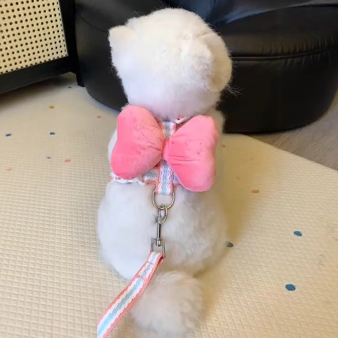 狗狗牵引绳蝴蝶结背心式胸背小型犬比熊泰迪宠物背带防挣脱遛狗绳