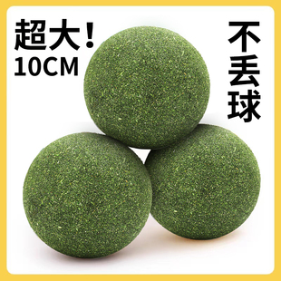 猫玩具超大薄荷球洁齿耐咬自嗨磨牙神器消耗体力逗猫磨牙猫咪用品