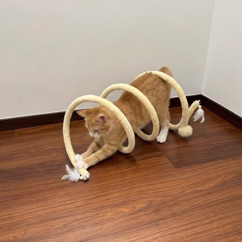 可折叠耐抓磨猫隧道逗猫棒自嗨
