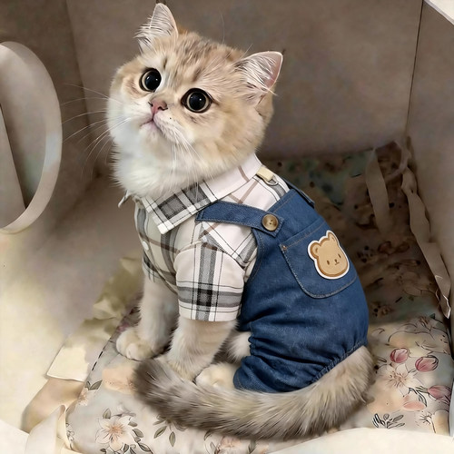夏季猫狗防脏可牵引防掉毛四脚衣