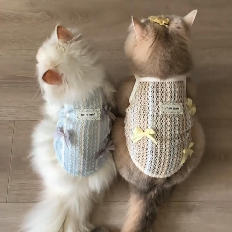 猫咪衣服镂空蝴蝶结背心夏天薄款