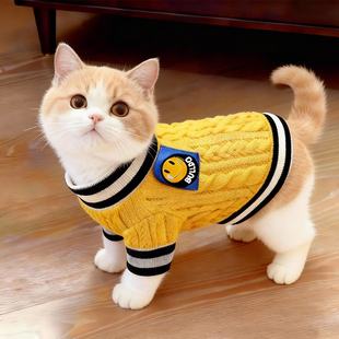 猫咪衣服秋冬保暖毛衣金渐层英短布偶防掉毛幼猫狗狗条纹毛衣服饰