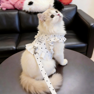 猫咪牵引绳波点花边胸背带外出专用遛猫绳小型犬狗狗背心式牵引绳