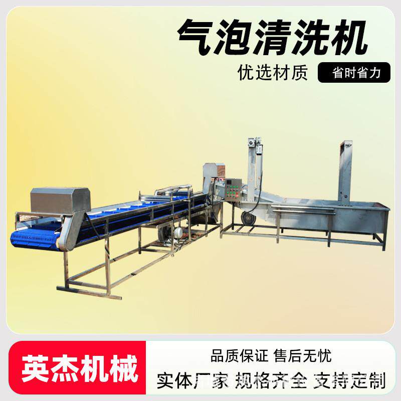 商用果蔬气泡清洗机自动净菜洗果机萝卜茶叶清洗加工流水线