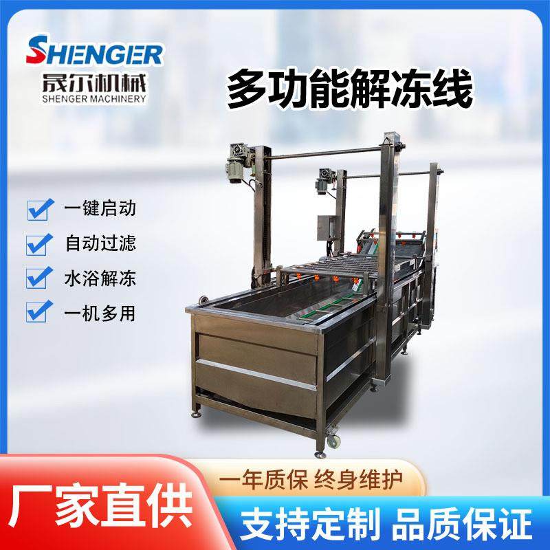 肉制品解冻机海鲜鱼类提升式常温化冻机器水浴式冻盘鸡爪化冻设备