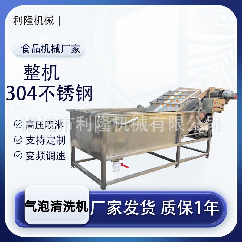 全自动果蔬气泡清洗机山野菜清洗泥沙设备蓝莓普葡萄无损伤清洗机
