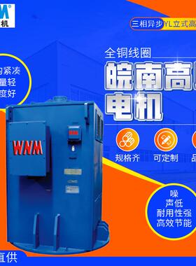 马达YL系列立式高压电动机三相异步315w400w450w375w