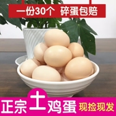 利川土鸡蛋正宗农家散养虫草新鲜鸡蛋齐跃山高山柴鸡蛋礼盒装 30枚