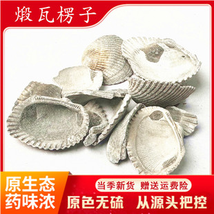 煅瓦楞子500克 中药材 血蛤壳 2件包邮