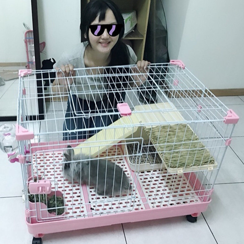 guinea pig breeding cages