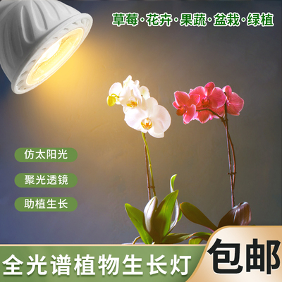 led全光谱植物生长灯超亮热植块根鱼缸爆藻绿植花卉多肉补光射灯