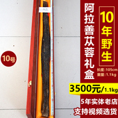 礼盒装 肉苁蓉内蒙古阿拉善整根500g男性泡酒料泡茶正品 油苁蓉