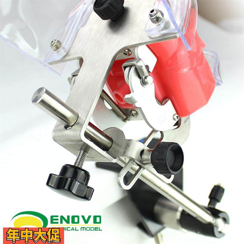 ENOVO颐诺口腔仿生头模系统牙医齿科教学系统备牙齿模型教学仿头,文具电教/文化用品/商务用品,教学标本/模型,淘宝优惠券,粉丝福利购,淘宝优惠卷