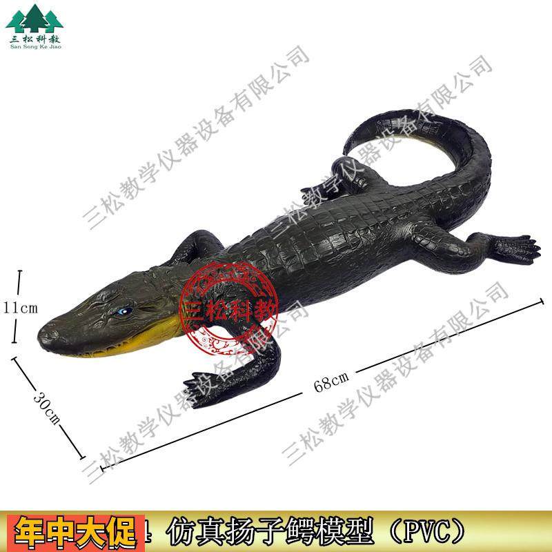 3234仿真扬子鳄模型珍稀动物模型生物标本科普教学仪器,文具电教/文化用品/商务用品,教学仪器/实验器材,淘宝优惠券,粉丝福利购,淘宝优惠卷