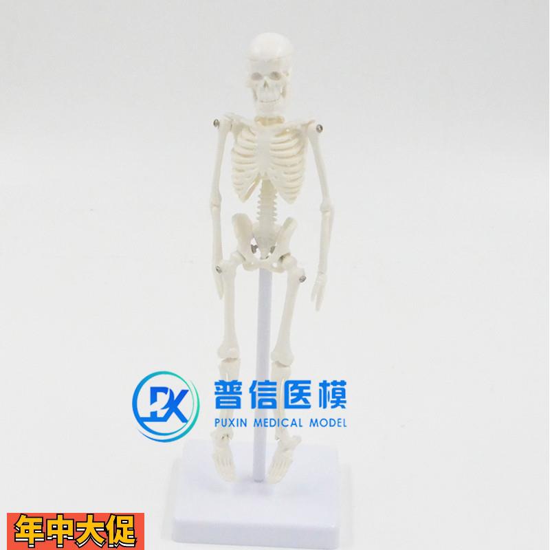 21cm白色迷你型医用美术绘画瑜伽人体全身骨骼骷髅骨架模型送支架