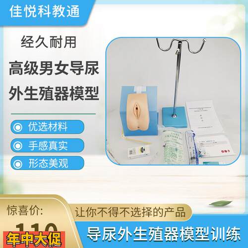 男女性护理导尿外生殖器模型练习模具导尿训练模型整体导尿培训