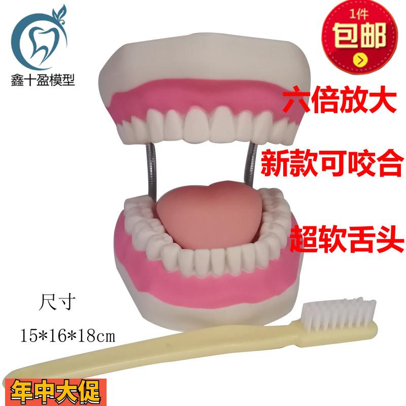 牙科口腔诊所幼儿园教刷牙模型教具带舌头6倍刷牙模型送牙刷