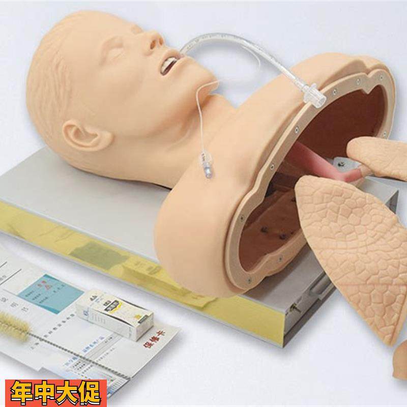 人体气管插管模型带喉部解剖结构成人气道插管训练模型J50,文具电教/文化用品/商务用品,模拟人,淘宝优惠券,粉丝福利购,淘宝优惠卷