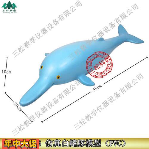 J3236高仿真白鳍豚海豚模型幼儿儿童小学科学教学标本仪器