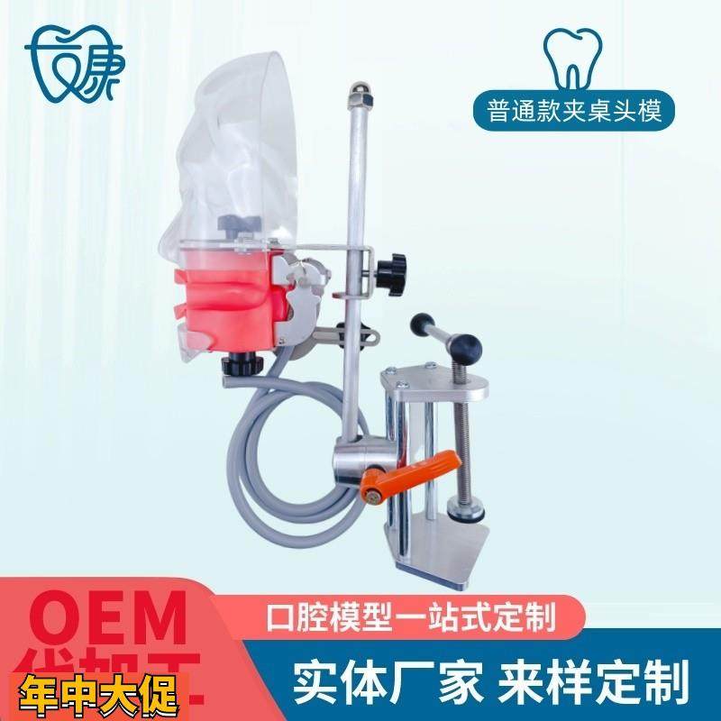 牙科简易仿真头模树脂可拆卸牙齿备牙正畸修复仿头模口腔教学模型