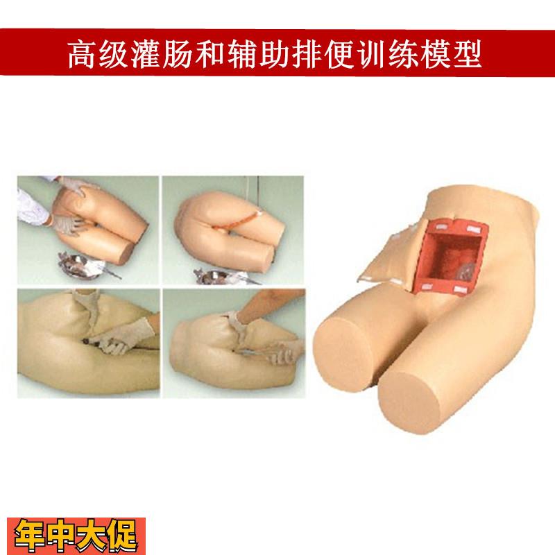 灌肠模型辅助排便和灌肠训练习模型医学用灌肠排便教学模型人体