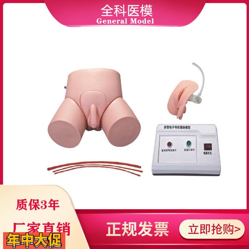 电子导尿灌肠教学实习模型男女护理导尿训练操作模具教学仪器