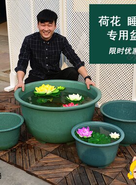 荷花盆睡莲大无孔圆形加厚塑料