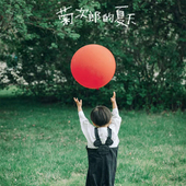 PanParty36寸加厚彩色红大圆形气球春游户外拍照道具生日布置装 饰