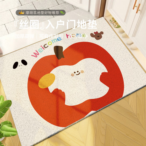 入户玄关丝圈防滑刮泥地垫