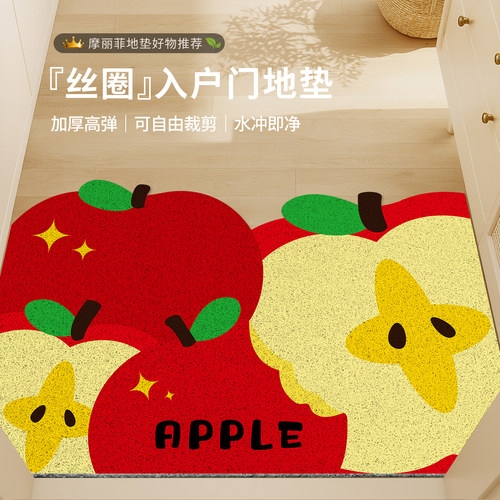 卡通丝圈防滑耐磨蹭灰入户门垫