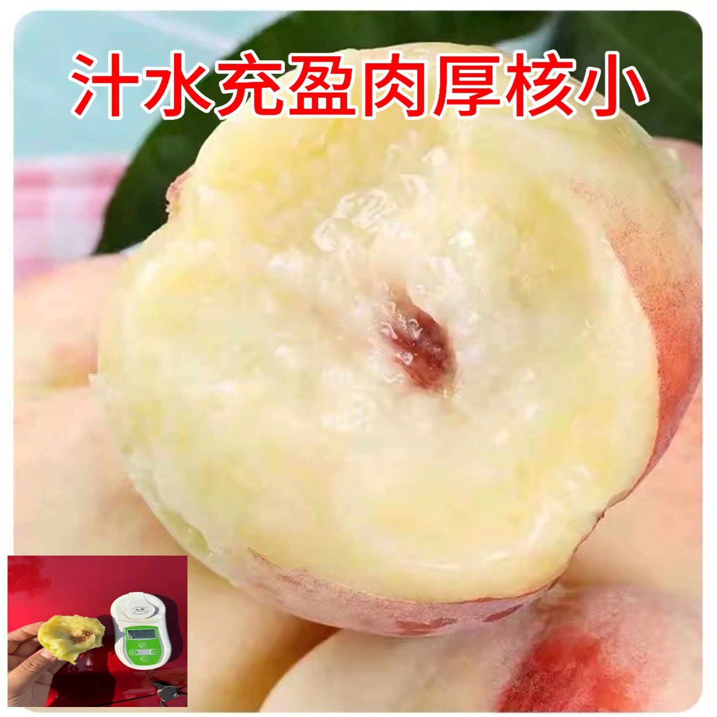 正宗高山水蜜桃陕西当季新鲜孕妇水果大果软的现摘现发脆甜毛桃子