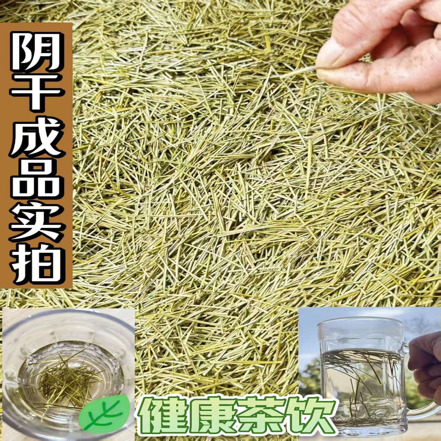 松针秦岭野生老树松针茶自然阴干炒制干松针叶中草药五针松养生茶