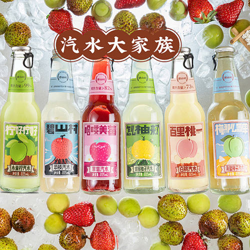 碧山村酒酿荔枝老盐黄皮汽水