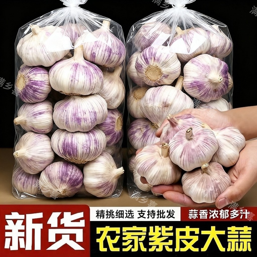 【新干蒜】山东紫皮大头蒜批发价新鲜大蒜新干蒜头食用大蒜整箱,水产肉类/新鲜蔬果/熟食,大蒜,淘宝优惠券,粉丝福利购,淘宝优惠卷