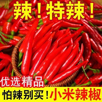 【超底价】小米辣正宗小米辣椒