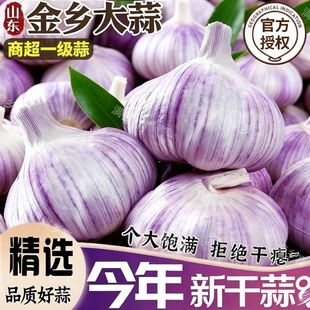 【金乡大蒜】新干蒜紫皮大蒜新鲜大蒜头红皮大蒜批发优质蒜子便宜