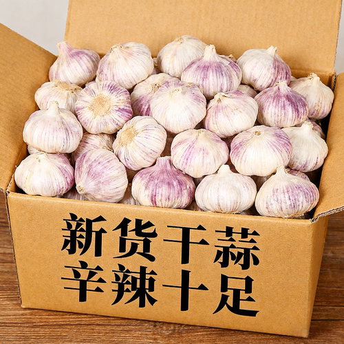 紫皮干蒜大蒜头大瓣蒜包邮