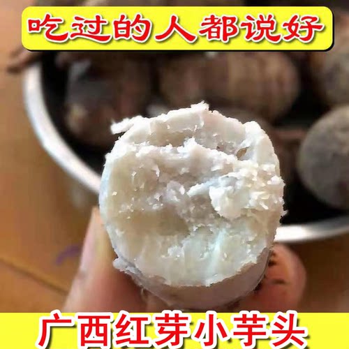 广西正宗红芽芋头新鲜红嘴荔浦