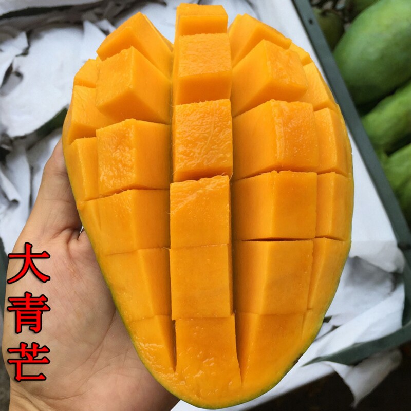 广西大青芒时令水果热带当季鲜果青甜芒果金煌大果越南品种大芒果