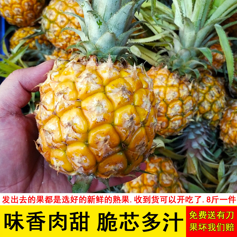 广西新鲜香水菠萝现摘现发小菠萝非凤梨当季菠萝超甜时令孕妇水果,水产肉类/新鲜蔬果/熟食,菠萝,淘宝优惠券,粉丝福利购,淘宝优惠卷